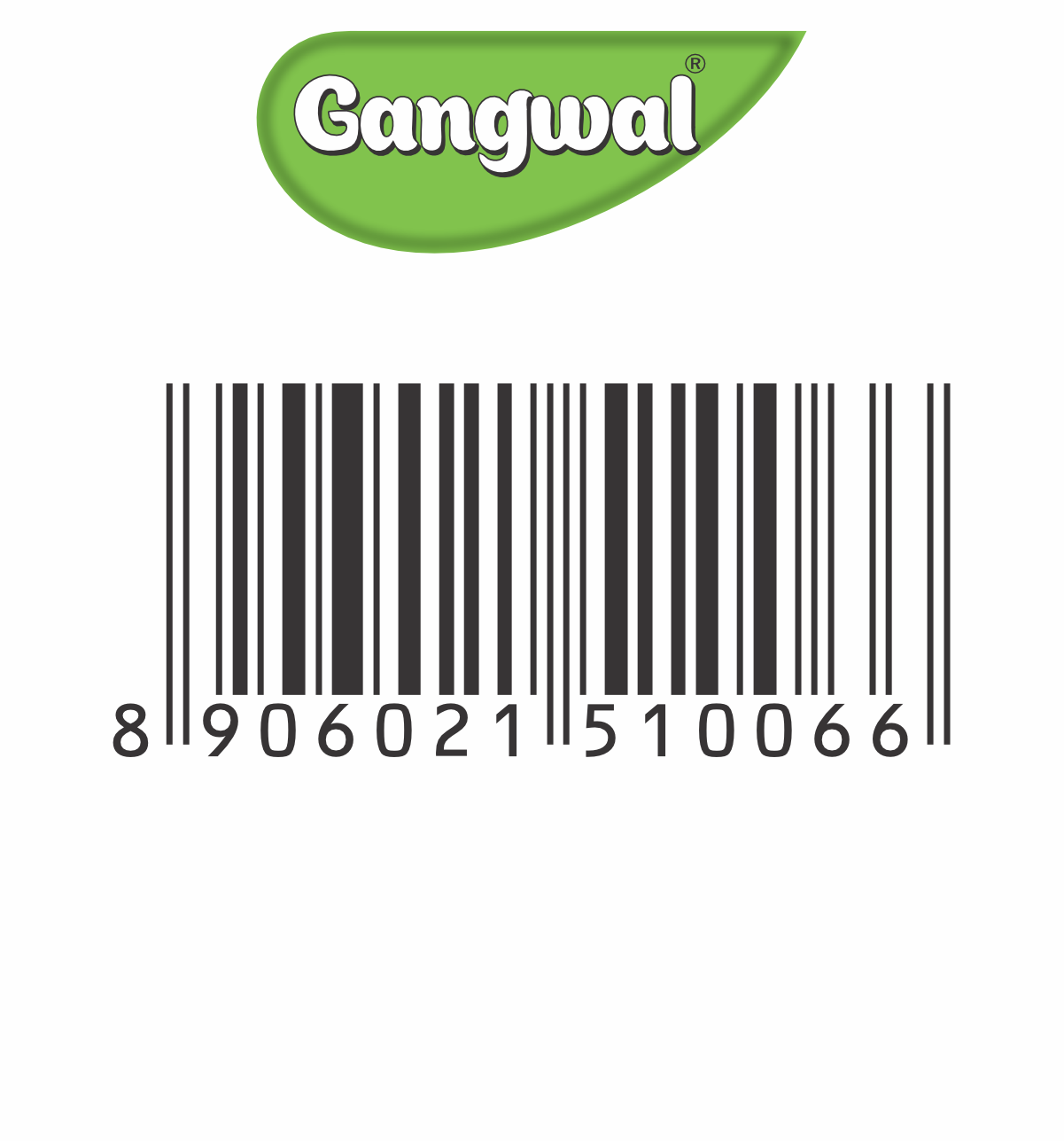Gangwal Instant Dahi Vada Mix 500gm Pack