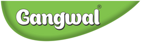 Gangwal Instant Idli Mix 500gm Pack