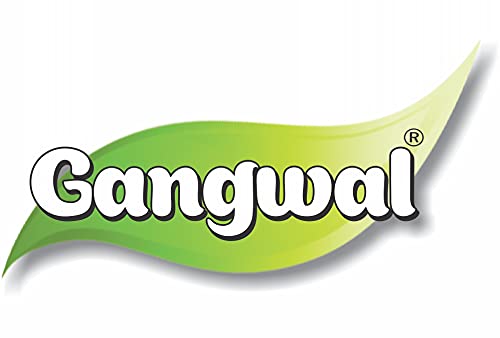Gangwal Instant Dahiwada Mix 500gm Pack